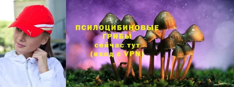 МЕГА рабочий сайт  Богородск  Псилоцибиновые грибы Cubensis 